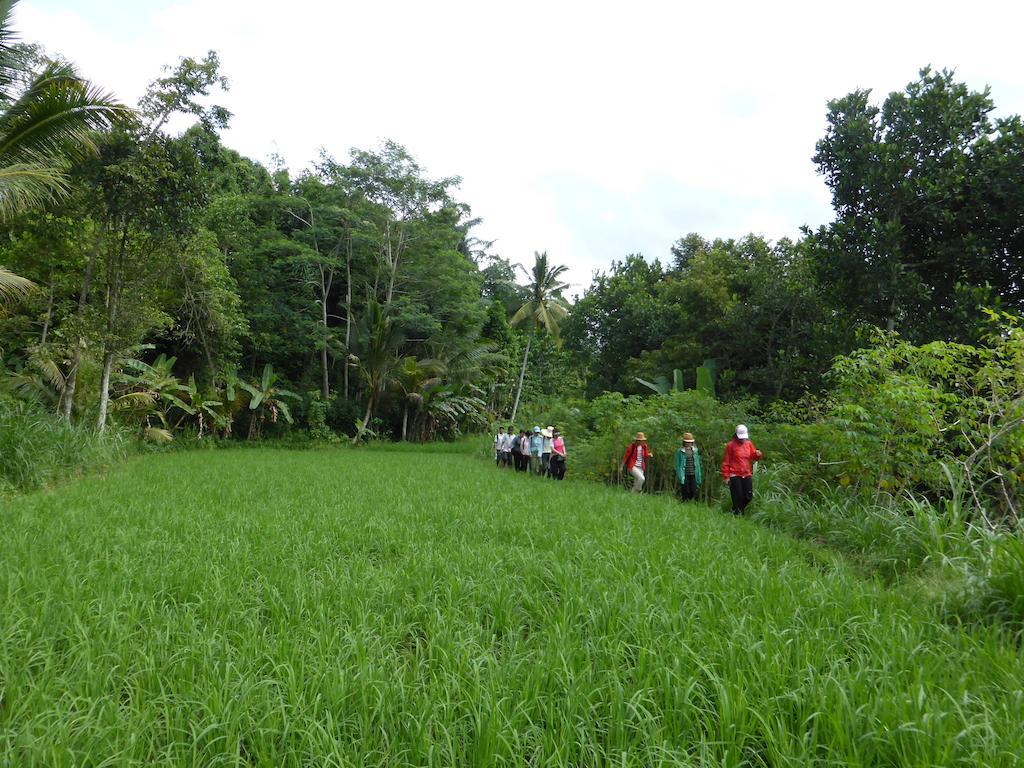 The Aura Shanti Retreat Baturiti ภายนอก รูปภาพ