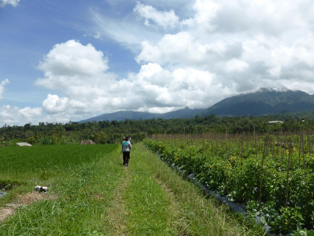 The Aura Shanti Retreat Baturiti ภายนอก รูปภาพ
