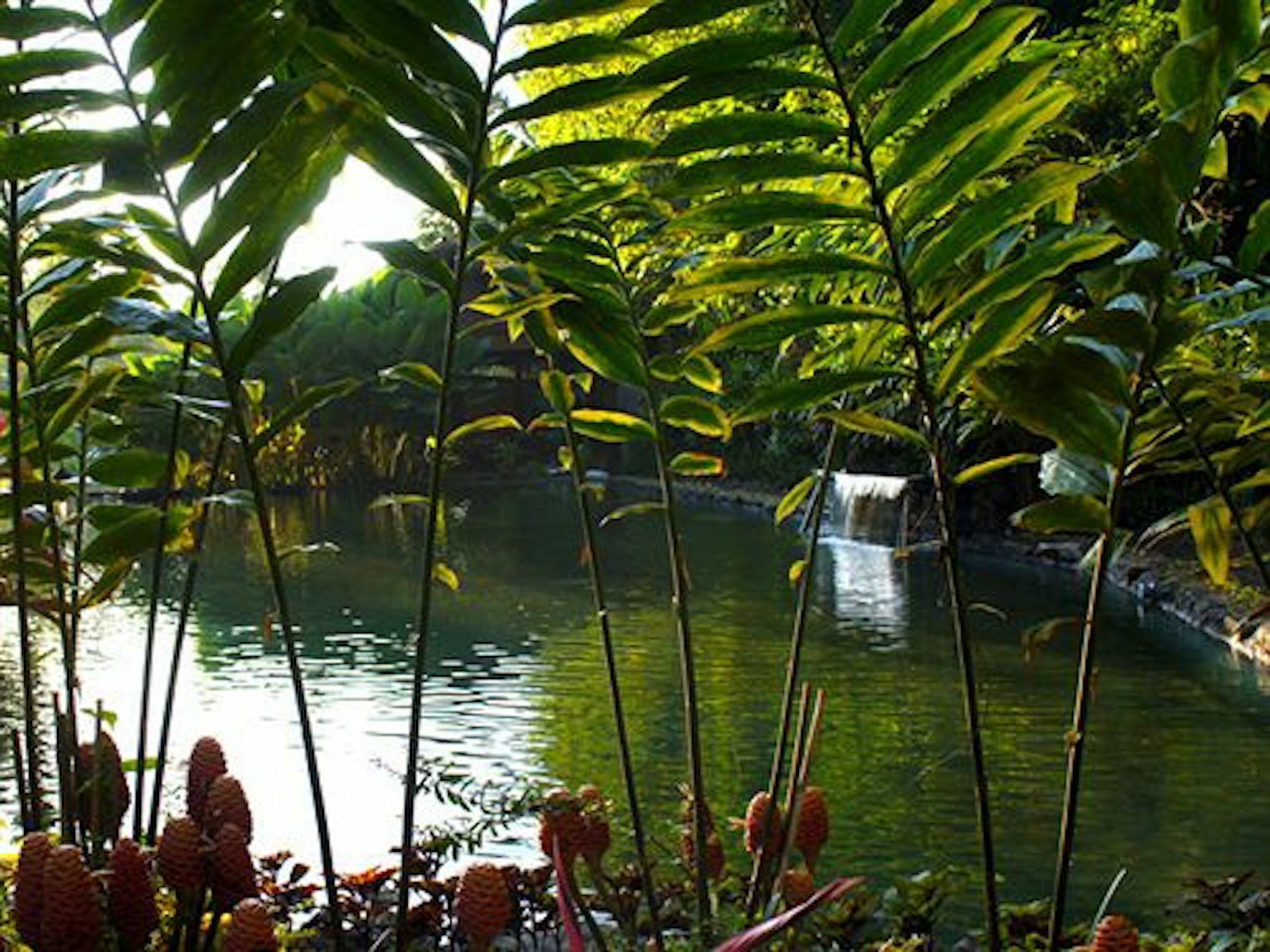 The Aura Shanti Retreat Baturiti ภายนอก รูปภาพ