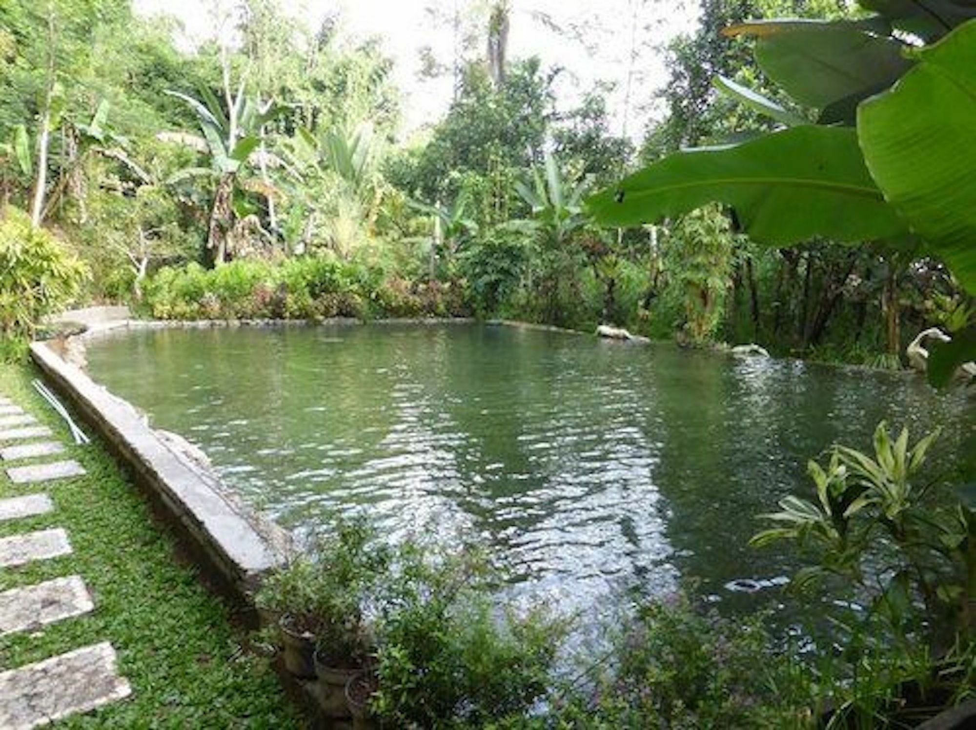 The Aura Shanti Retreat Baturiti ภายนอก รูปภาพ
